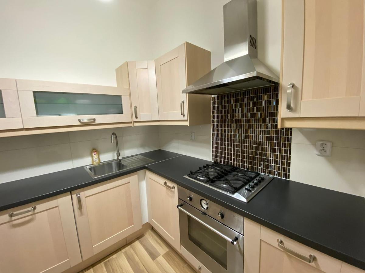 Spacious On Wenceslas Square Appartement